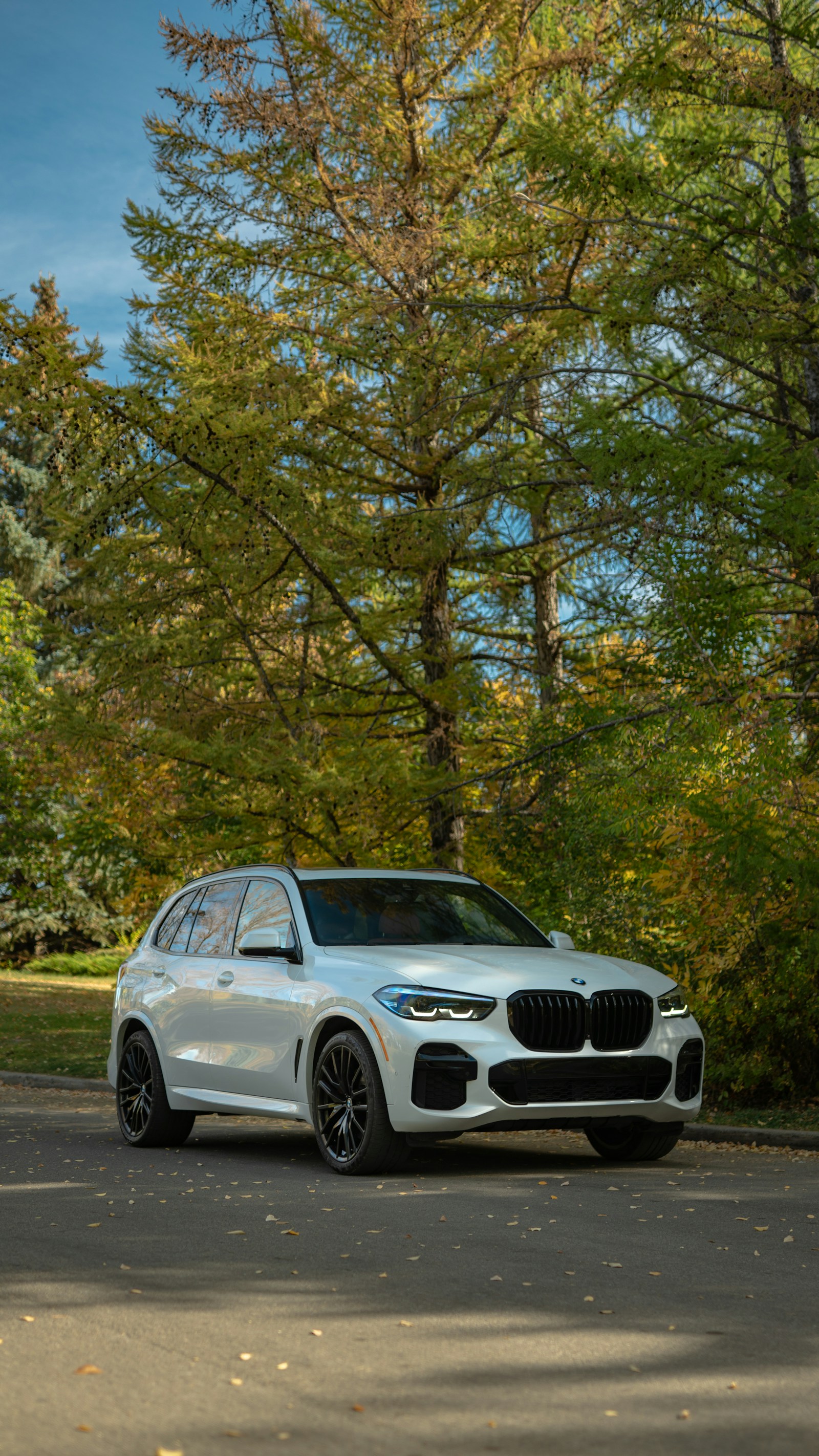 سيارة BMW بيضاء — صورة تعريفية